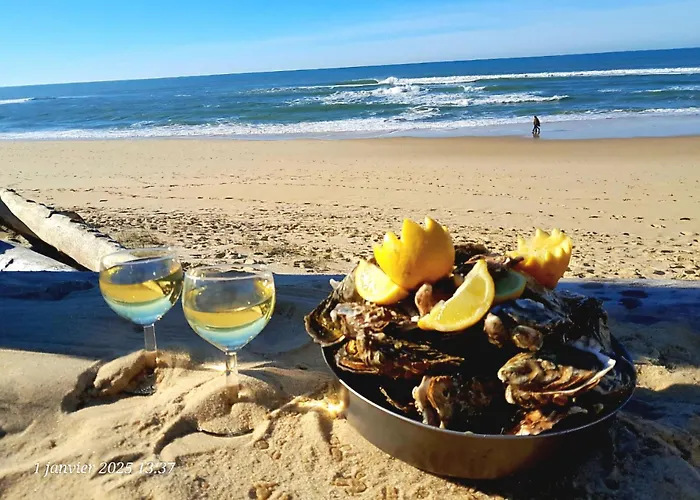 Les Bord\'Oceanes Sauna & Spa Villa Marensine Et Villa Oyat