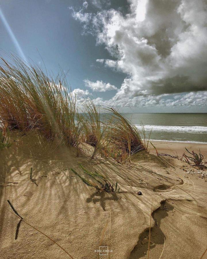 Les Bord'oceanes Sauna & Marensine Et Oyat Villa *