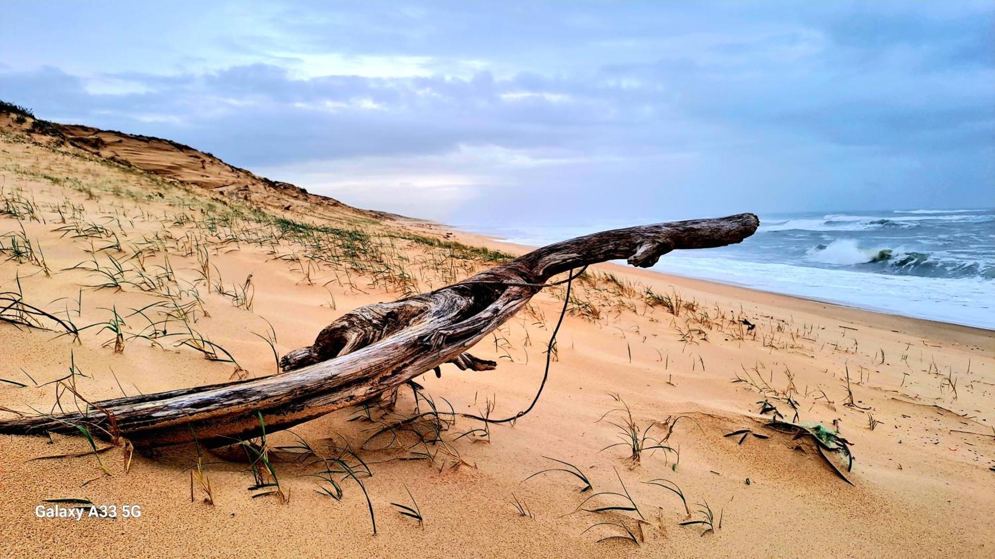 Les Bord'oceanes Sauna & Marensine Et Oyat * Vielle-Saint-Girons
